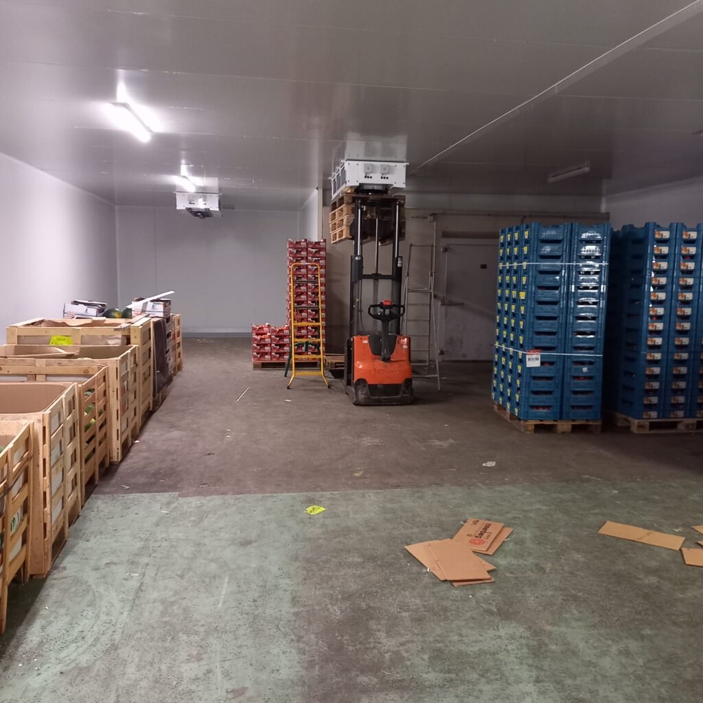 20240705 184402 1024x1024