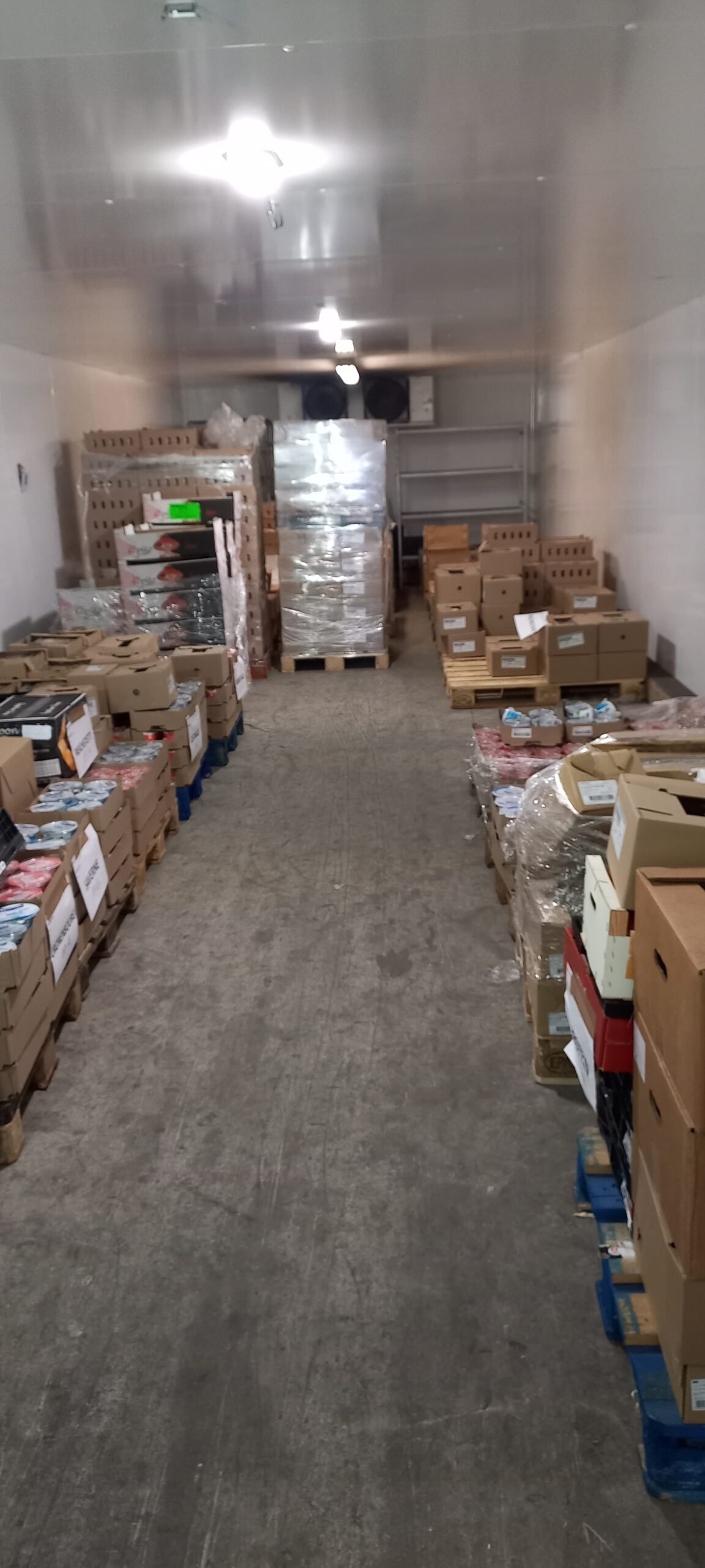 20250408 115206 Scaled