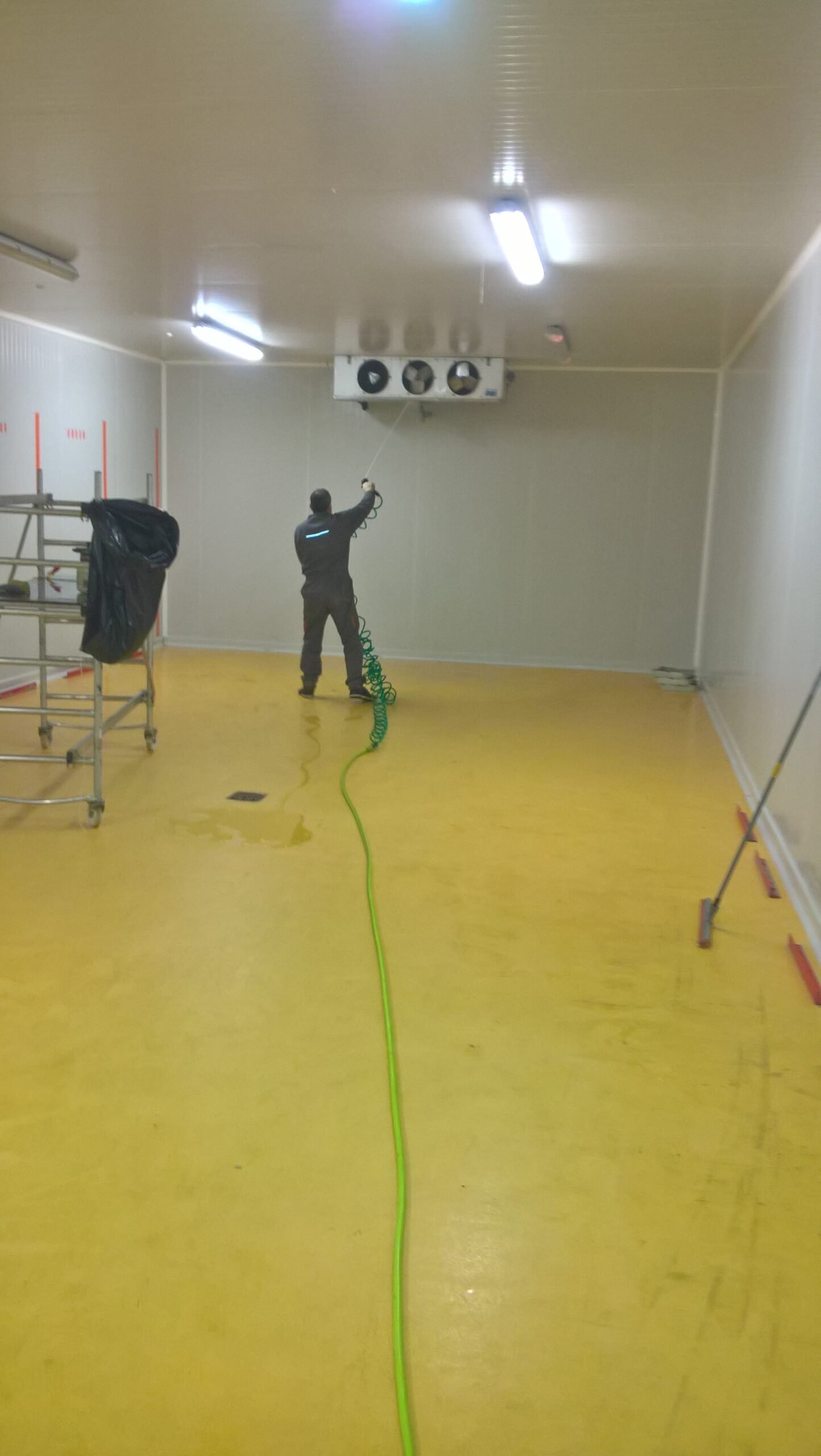 Services WP 20191213 17 02 08 Rich LI Scaled